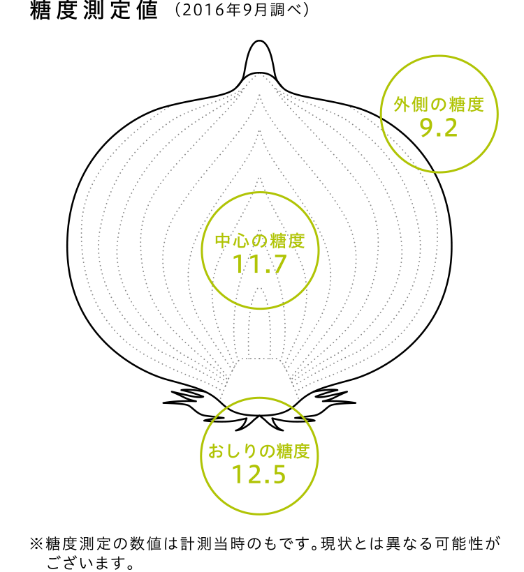 商品情報 新篠津つちから農場